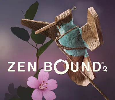 Zen Bound 2 PC Steam CD Key — лицензионный ключ
