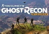 Tom Clancy's Ghost Recon Wildlands RU/CIS Ubisoft Connect CD Key — лицензионный ключ