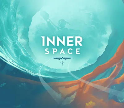 InnerSpace Steam CD Key — лицензионный ключ