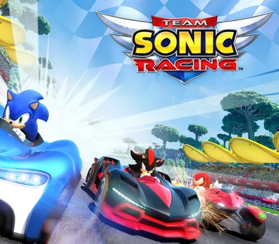 Team Sonic Racing Steam CD Key — лицензионный ключ