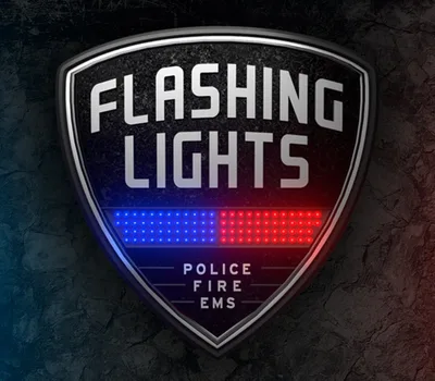 Flashing Lights - Police Fire EMS EU Steam CD Key — лицензионный ключ