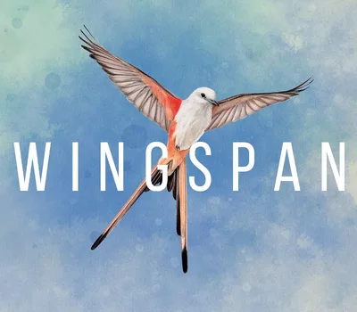 Wingspan Steam CD Key — лицензионный ключ