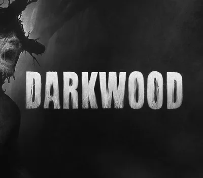 Darkwood EU PC Steam CD Key — лицензионный ключ