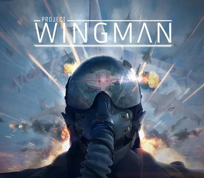 Project Wingman EU Steam CD Key — лицензионный ключ