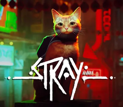 Stray PC Steam CD Key — лицензионный ключ