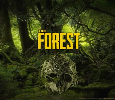 The Forest PS4 Account — лицензионный ключ