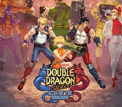 Double Dragon Gaiden: Rise Of The Dragons EU Nintendo Switch CD Key — лицензионный ключ
