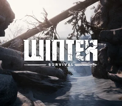 Winter Survival Steam CD Key — лицензионный ключ