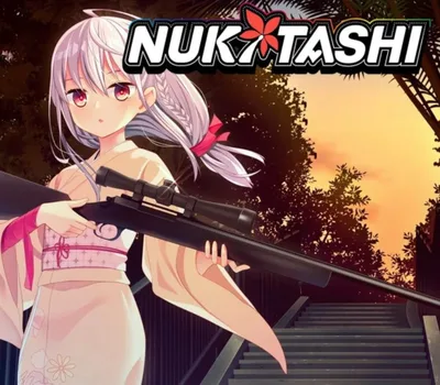 NUKITASHI PC Steam CD Key — лицензионный ключ