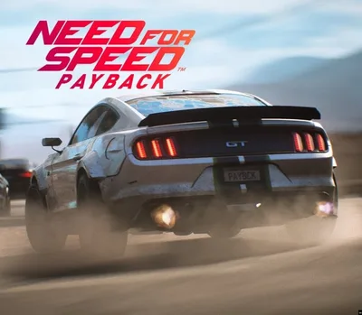 Need for Speed Payback Deluxe Edition PC Epic Games Account — лицензионный ключ