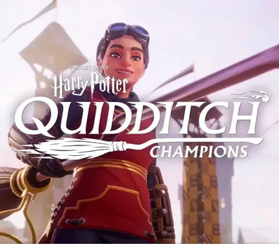 Harry Potter: Quidditch Champions EU PC Steam CD Key — лицензионный ключ