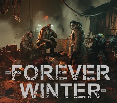 The Forever Winter PC Steam Account — лицензионный ключ