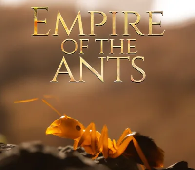 Empire of the Ants EU Xbox Series X|S CD Key — лицензионный ключ