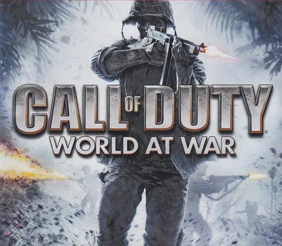 Call of Duty: World at War EU PC 10 Windows CD Key — лицензионный ключ