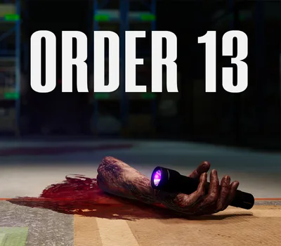 ORDER 13 PC Steam CD Key — лицензионный ключ
