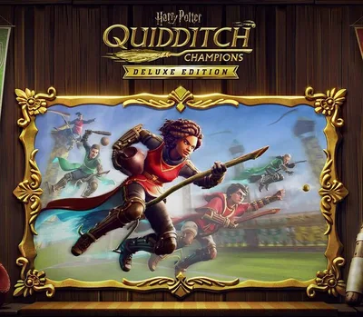 Harry Potter: Quidditch Champions Deluxe Edition PC Steam Account — лицензионный ключ