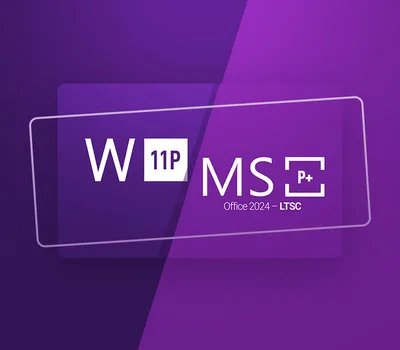 Windows 11 Professional & MS Office 2024 Professional Plus LTSC Bundle Key — лицензионный ключ